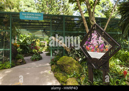 Singapur, botanischen Gärten, Orchideengarten Stockfoto