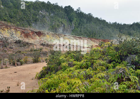 Trail durch die Schwefel-Lüftungsschlitze im Volcanoes National Park, Big Island von Hawaii, USA Stockfoto