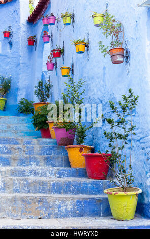 Chefchaouen, Marokko.  Bunte Blumen Töpfe Linie Schritte auf eine Straße führt bergauf. Stockfoto