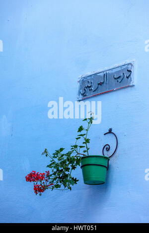 Chefchaouen, Marokko.  Des Eigentümers Name und Blumentopf auf Wand eines Hauses. Stockfoto