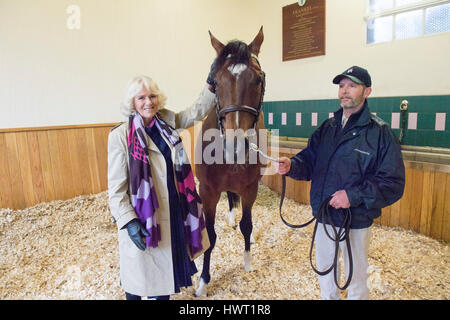 Die Herzogin von Cornwall mit Rob Bowley, trifft Frankel während ihres Besuchs in Banstead Manor Stud, Newmarket. Stockfoto