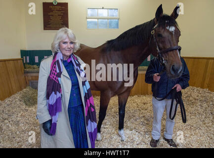 Die Herzogin von Cornwall trifft Frankel während ihres Besuchs in Banstead Manor Stud, Newmarket. Stockfoto