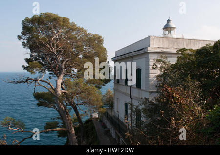 Punta Faro, Cape Lighthouse, Portofino, Italien: Strandkiefern und Panoramablick über den historischen Portofino Leuchtturm, erbaut im Jahre 1870 Stockfoto