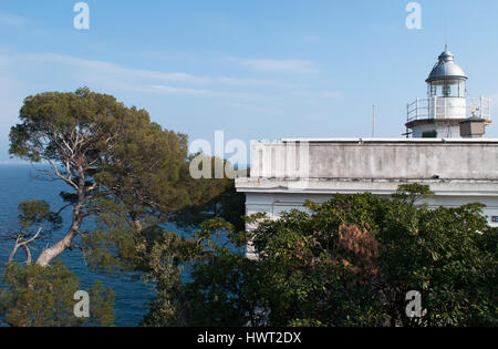 Punta Faro, Cape Lighthouse, Portofino, Italien: Strandkiefern und Panoramablick über den historischen Portofino Leuchtturm, erbaut im Jahre 1870 Stockfoto