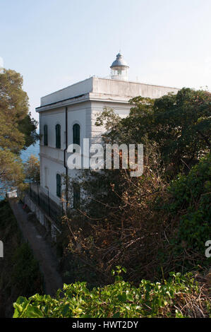 Punta Faro, Cape Lighthouse, Portofino, Italien: Strandkiefern und Panoramablick über den historischen Portofino Leuchtturm, erbaut im Jahre 1870 Stockfoto