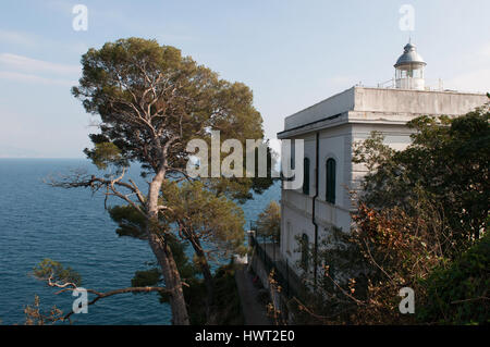 Punta Faro, Cape Lighthouse, Portofino, Italien: Strandkiefern und Panoramablick über den historischen Portofino Leuchtturm, erbaut im Jahre 1870 Stockfoto