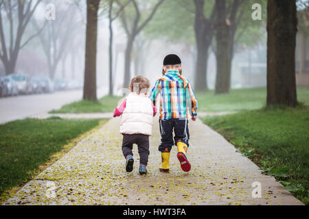 Rückansicht der Geschwister gehen auf Gehweg inmitten Feld bei nebligen Wetter Stockfoto