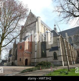 15. Jahrhundert Grote oder Sint Laurenskerk (St.-Lorenz-Kirche) am Kerkplein Square, zentraler Alkmaar, Niederlande. (Genähte Bild) Stockfoto