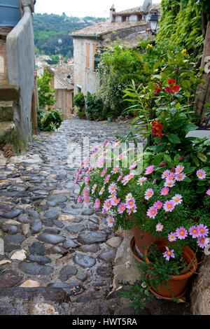 Gepflasterten Straße nach dem Regen in das Dorf Biot, Cote d ' Azur Stockfoto