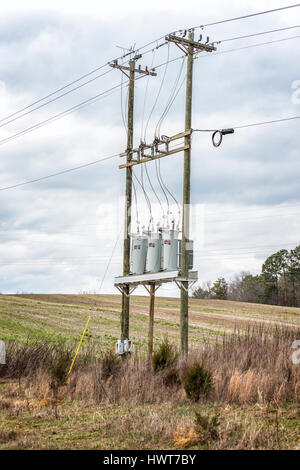 Drei elektrische Dienstprogramm Transformatoren auf Telefonmasten Stockfoto