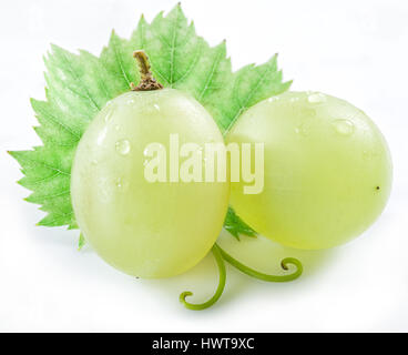 Zwei Trauben mit kleinen Blatt auf dem weißen Hintergrund. Stockfoto