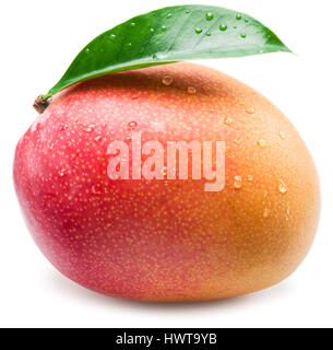 Mango-Frucht mit Wassertropfen. Isoliert auf weißem Hintergrund. Stockfoto