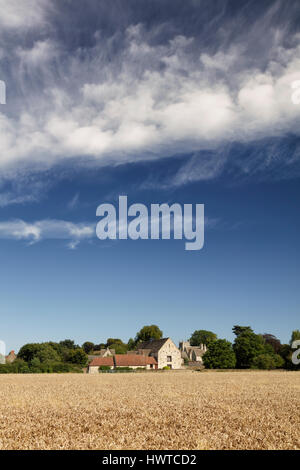 Fernsicht auf über ein Weizen in Richtung umgebauten Scheunen und Dorfkirche im Dorf Somerford Keynes an einem Sommernachmittag. Stockfoto