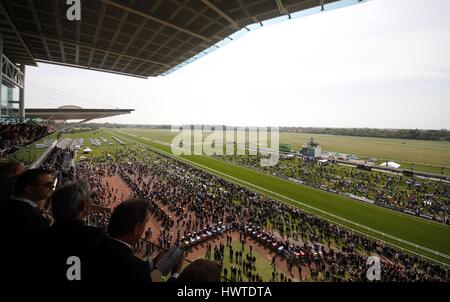 DER KNAVESMIRE YORK RACE COURSE YORK RACECOURSE YORK ENGLAND 15. Mai 2015 Stockfoto