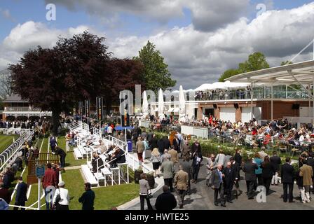 YORK RACECOURSE DANTE FESTIVAL 2015 DANTE FESTIVAL 2015 YORK RACECOURSE YORK ENGLAND 13 Mai 2015 Stockfoto