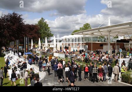 YORK RACECOURSE DANTE FESTIVAL 2015 DANTE FESTIVAL 2015 YORK RACECOURSE YORK ENGLAND 13 Mai 2015 Stockfoto