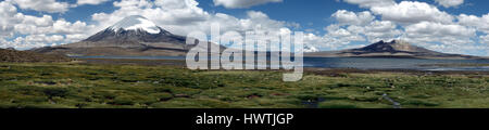 Panorama-Bild Show Lago Chungará und die Vulkane Parinacota (Chile) und Sajama (Bolivien) Stockfoto