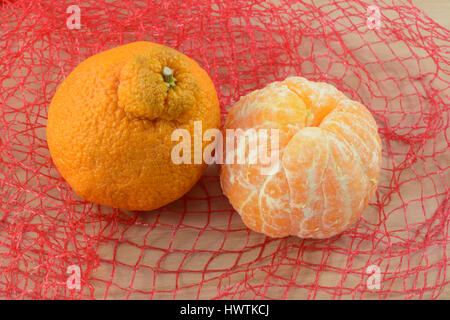 Süßen kernlosen geschälte und ungeschälte Dekopon-Mandarin-Orangen Stockfoto