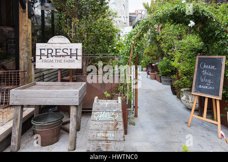 Die Australian Grand Molkerei Awards präsentiert ein Abend der Käse, der Garten von Alexandria, Huntley Street, Alexandria, Sydney, Australien. Stockfoto