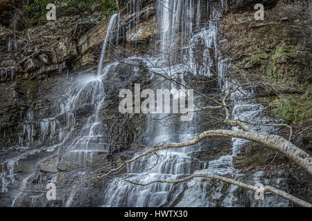 White Oak Creek fällt von Mercer County West Virginia, bildet eine gefrorene Palisade Eis entlang dem äußeren Rand mit einer kleinen Buche in den Vordergrund. Stockfoto