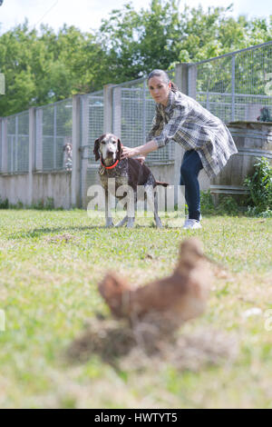 Bewegtbild-Foxterrier genießen Wasser Stockfoto