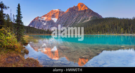 Mount Edith Cavell spiegelt sich in Cavell Lake im Jasper Nationalpark, Kanada. Bei Sonnenaufgang fotografiert. Stockfoto