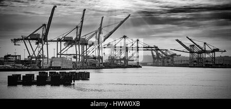 Bild von Seattle Dockbereiche, geschossen von touristischen Boot tour Stockfoto