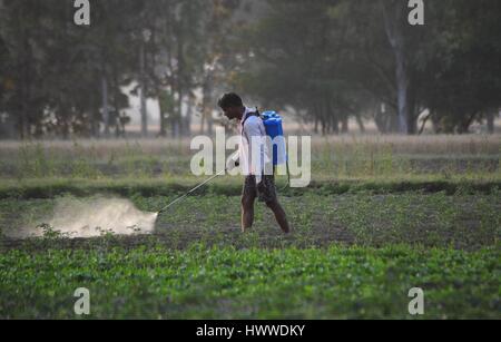 Allahabad, Uttar Pradesh, Indien. 23. März 2017.  Ein Landwirt Spray Medizin auf seinem Gebiet in Außenbezirken von Allahabad am 23.03.2017. Foto von Prabhat Kumar Verma Credit: Prabhat Kumar Verma/ZUMA Draht/Alamy Live News Stockfoto