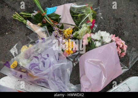 Westminster, London, UK 23. März 2017 Floral Tribute auf Westminster Bridge. Scotland Yard hat am 23. März 2017 Polizei bei Razzien über Nacht in Birmingham London und anderswo im Land nach dem Terroranschlag in Westminister Schlosspark und auf Westminster Bridge am 22. März 2017 verlassen vier Menschen tot, einschließlich des Angreifers und 29 Menschen verletzt, sieben Verhaftungen gemacht haben. Bildnachweis: Dinendra Haria/Alamy Live-Nachrichten Stockfoto