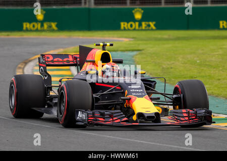 Melbourne, Australien. 24. März 2017. Max VERSTAPPEN NED 33 fahren für RED BULL RACING während der 2017 Formel 1 Rolex Australian Grand Prix, Australien am 24. März 2017. Bildnachweis: Dave Hewison Sport/Alamy Live-Nachrichten Stockfoto