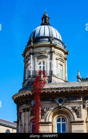 Künstler Paul Cummins & Designer Tom Piper Fremde Haut die Keramik Mohnblumen "Weinen" Fenstermontage in Hull City Kulturhauptstadt 2017 Stockfoto