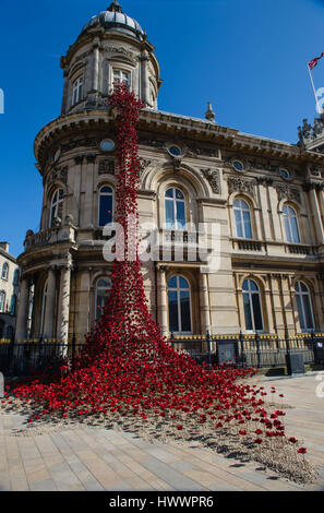 Künstler Paul Cummins & Designer Tom Piper Fremde Haut die Keramik Mohnblumen "Weinen" Fenstermontage in Hull City Kulturhauptstadt 2017 Stockfoto