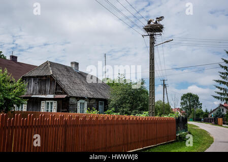 Holzhaus ein Storchennest auf einem Lamp post im kleinen Dorf in Polen Stockfoto