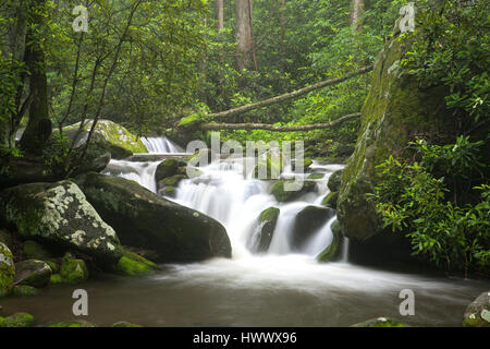 Entspannen entlang der Roaring Fork Moter Tour in den Great Smoky Mountains National Park Tennessee USA landschaftlich Stockfoto