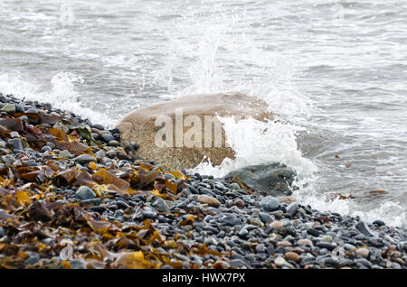 Wellen gegen einen Felsen an einem Strand Kopfsteinpflaster, kleine Cranberry Island, Maine. Stockfoto