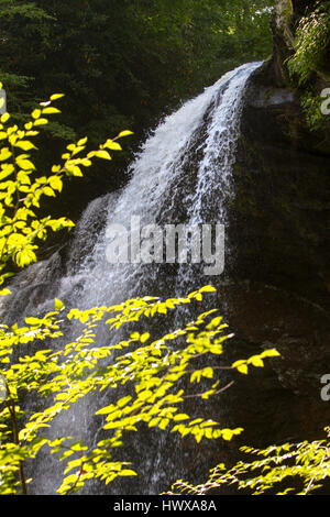 75 Fuß hohen Dry Falls, im Nantahala National Forest ist eine beliebte Wasserfall befindet sich ein paar Meilen außerhalb der Highlands. Dieser Abschnitt der Straße ist Stockfoto