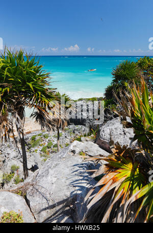 Palmen und felsigen Küste in Tulum, Mexiko Stockfoto