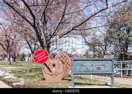 Washington DC, USA - 17. März 2017: Anzeichen von Franklin Delano Roosevelt Memorial und Beaver während Cherry Blossom festival Stockfoto