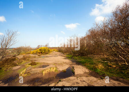 Die Spitze der Thurstaston Country Park, Wirral, NW, UK Stockfoto