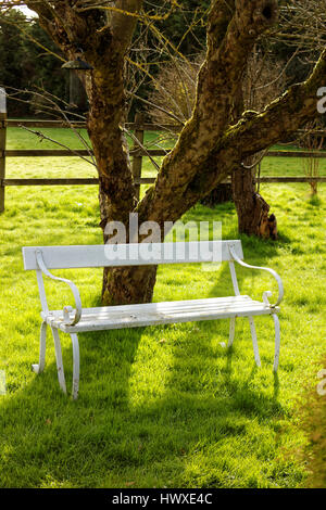 Weiße Bank im Garten Stockfoto