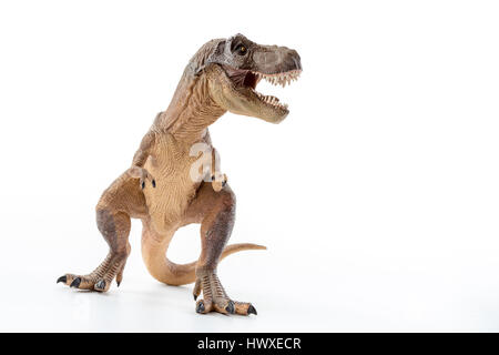 Dinosaurier Tyrannosaurus Rex mit Mund öffnen in Angriffsposition - weißer Hintergrund Stockfoto