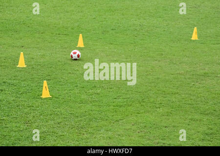 Kegel auf dem grünen Rasen Training Stockfoto