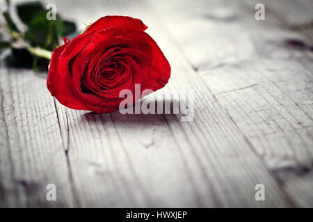 Rote Rosen auf hölzernen Hintergrund Konzept für Liebe, Valentinstag, Romantik, Danke, Feier oder Jubiläum Stockfoto