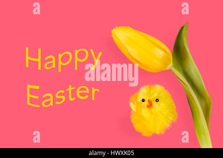 Ostern Huhn und eine gelbe Tulpe auf einem rosa Hintergrund mit einem glücklich Ostergruß. Stockfoto