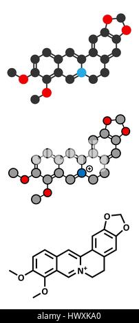 Berberin-Alkaloid-Molekül. Anzahl der Pflanzen zu präsentieren. Als gelber Farbstoff und als eine traditionelle Antimykotikum verwendet. Stilisierte 2D Renderings und co Stock Vektor