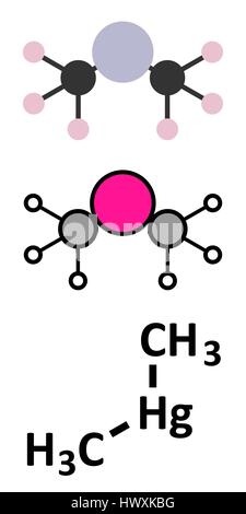 Dimethylquecksilber (quecksilberorganischen Verbindung) Molekül. Stilisierte 2D Renderings und konventionellen Skelettformel. Stock Vektor