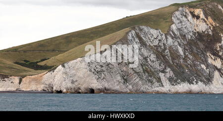 Weißen erodierten Kreidefelsen am Ostende des Al-Arisch Mell Strand nachschlagen Halcombe Vale, Dorset UK Stockfoto