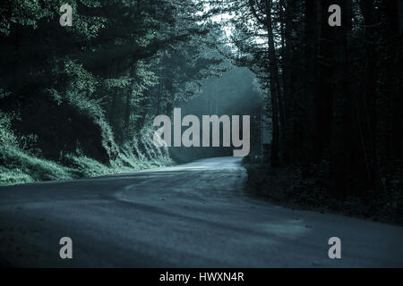 Dunklen Wald mit leeren Straße in fliehendes Licht. Emotionale, gotischen Hintergrund, unheimliche natürliche Szene Konzept. Stockfoto