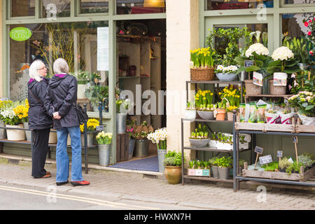 Cirencester - Oops ein Daisy-Blumenladen voller Frühlingsblumen, ideal für Muttertag, als paar Frauen suchen im Fenster in Cirencester im März Stockfoto