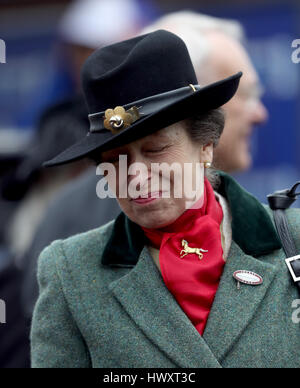 Die Princess Royal bei St Patricks Donnerstag 2017 Cheltenham Festival Stockfoto